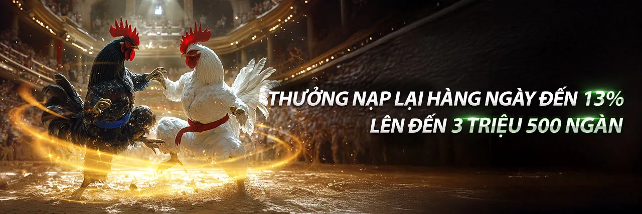 Hình nền đá gà mới nhất tại Win2026VN